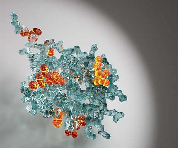 EU opens probe into Chinese imports of key amino acid