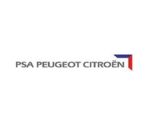 France's Renault and Peugeot seen to profit from Iran deal