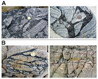 Earthquakes, 'Marsquakes,' and the Possibility of Life