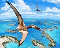 Paleontologists identify new group of pterosaurs