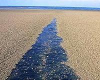 Volcano F is the origin of the floating stones
