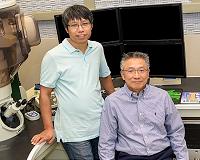 Researchers use novel materials to build smallest transistor