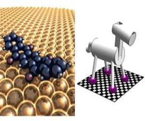 Chemical modules that mimic predator-prey and other behaviors