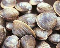 Brown Scientist Finds Coastal Dead Zones May Benefit Some Species