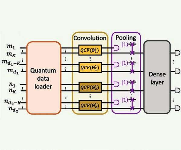 Adaptive photonic circuits enable quantum neural network breakthroughs