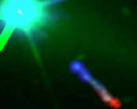Astronomers Observe High Energy Particles From Black Hole Jet