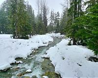 Fresh look at trope about Eskimo words for snow