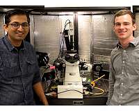 To connect biology with electronics, be rigid, yet flexible