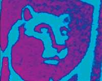 Stenciling with atoms in 2-dimensional materials possible