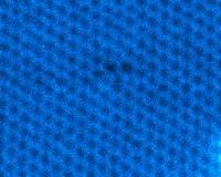 Observing the random diffusion of missing atoms in graphene