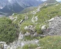 Rock exposed in World War I trenches offers new fossil find