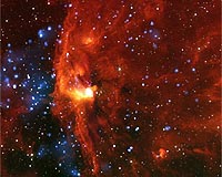 Massive Young Stars Trigger Stellar Birth