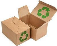 No time to waste: Moscow urged to recycle, not burn