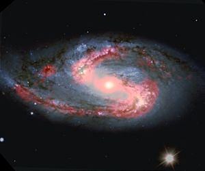 Dusty Stellar Nurseries from the Dark Side of a Galaxy
