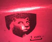 A curious quirk brings organic diode lasers one step closer