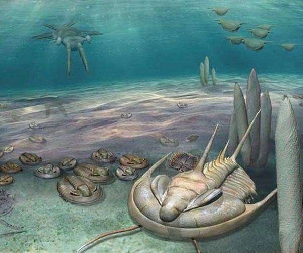 450-million-year-old sea creatures had a leg up on breathing