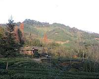 Nearly wiped out by quake, China's Qiang minority lives on