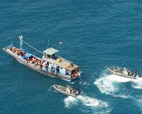 Pacific summit opens amid concerns over refugee children