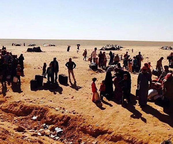 Jihadists disrupt crucial wood supplies in Niger capital