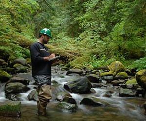 In the Northeast, forests with entirely native flora are not the norm