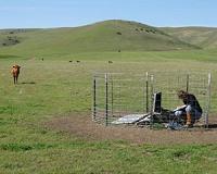 Shallow earthquakes and deeper tremors along southern San Andreas fault