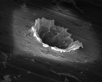 UK Scientists Sift Superfine Stardust
