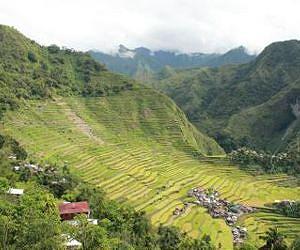 Sustainability of rice landscapes in South East Asia threatened