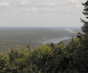 Historic trends predict future global reforestation unlikely