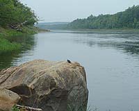Growing Concern Over Estrogen-Like Compounds In US Rivers