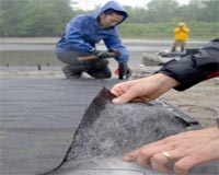 UNH Researchers Test Sediment-Scrubbing Technology In Cocheco River