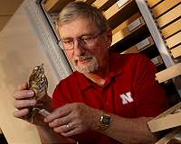 Ice age may have clipped bird migration