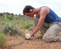 New framework unlocks secret life of plants