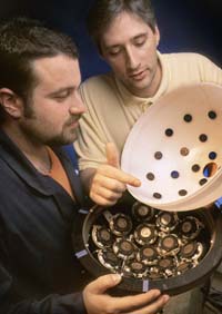 Spherical Motor Allows 3-D Movement For Robots