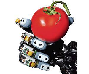 New sensors can give robot hands a 'gentle touch'