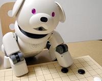 Sony to release AI-infused robotic pups in the US