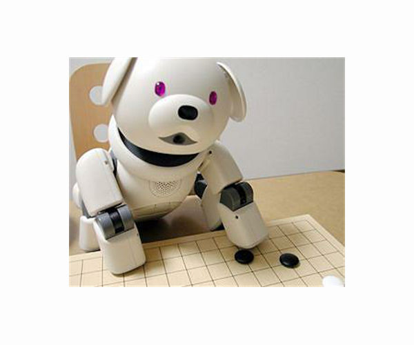 South Korean pet care goes high-tech with AI diagnostics