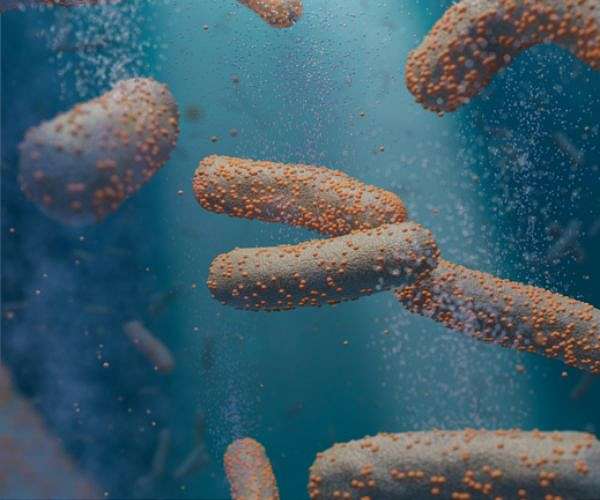 Unlocking the power of photosynthesis for clean energy production