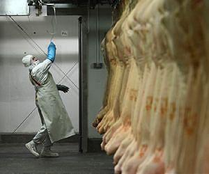 Romania horse slaughterhouse says it has nothing to hide