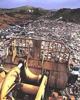 Senate Told Canadian Trash Security Threat To America