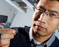 Scientists decipher the nanoscale architecture of a beetle's shell