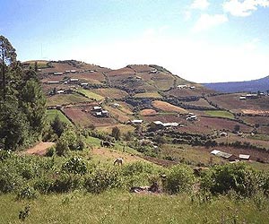 A Review Of Vegetated Buffer Efficacy