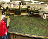 Saab Lands Major New Camouflage Technology Deal