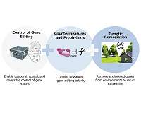 Building the Safe Genes Toolkit
