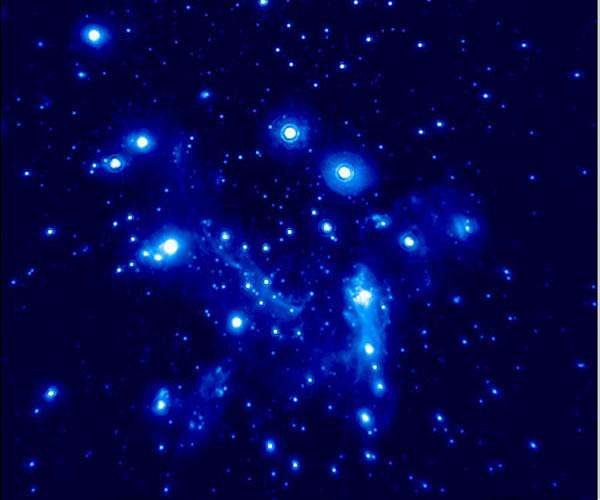 Star with the shortest orbital period around black hole discovered