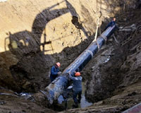 Russian pipeline plan threatens whales: environmental groups