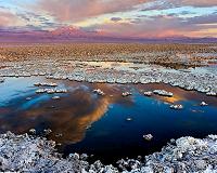 Clues to Martian Life Found in Chilean Desert
