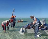 Small drop in sea level had big impact on southern Great Barrier Reef