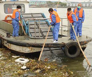 Dead pigs in China river exceed 13,000