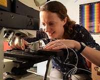 Robotic device tracks plant growth at the cellular level