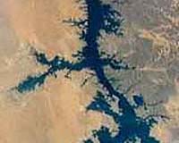Cold Seep Communities